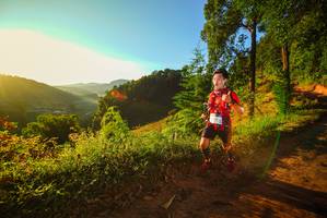 BIB: 
                            <button type="button" onclick="openModal(19168922)" class="btn btn-primary btn-sm float-right btn-popup" data-toggle="modal" data-target=".modal-high-quality">
                        <i class="fas fa-shopping-cart"></i> Add to Cart
                    </button>
                                            <button type="button" onclick="isThisMe(19168922, true)" class="btn btn-success btn-sm float-right btn-popup btn-isme hidden" data-toggle="tooltip" data-placement="bottom" title="นี่คือรูปของคุณใช่ไหม คลิกที่นี่เพื่อเอาเข้าอัลบั้ม">
                        <i class="fas fa-plus"></i> Add to album
                    </button>
                    <button type="button" onclick="isThisMe(19168922, false)" class="btn btn-warning btn-sm float-right btn-popup btn-isnotme hidden">
                        <i class="fas fa-ban"></i> Remove from album
                    </button>